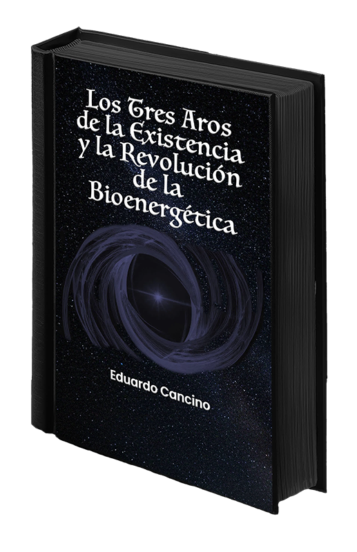Libro-web-aros-web-3c